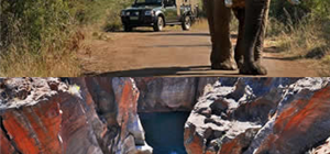 Special Day Tour Group Offers for our Mpumalanga locals!!!